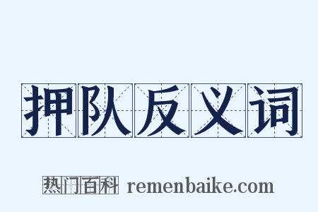 押队反义词是什么意思的图片